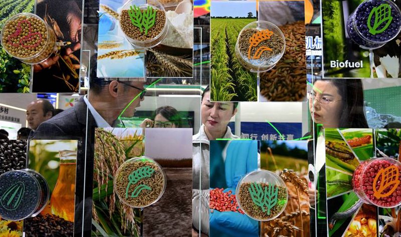 农业技术研发：推动农业现代化的新引擎