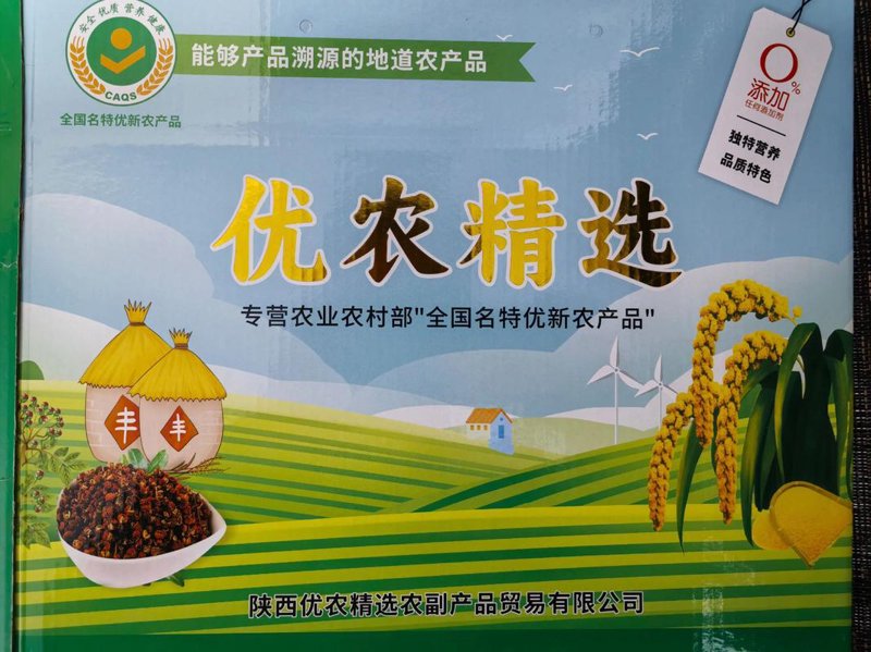 农业产业化：推动农村发展的新引擎