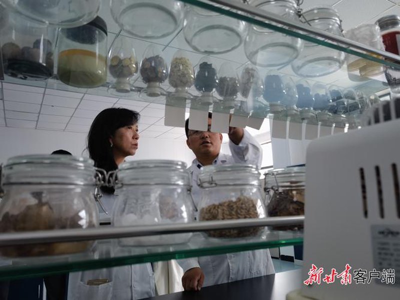 农业技术研发引领现代农业新篇章