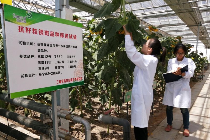 广东农业科技发展之路